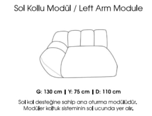 Modul cu brat MOLIVO TW